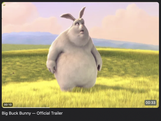 Big Buck Bunny 영상 장면과 타임스탬프, 재생 진행률이 표시된 커버 호버 미리보기.